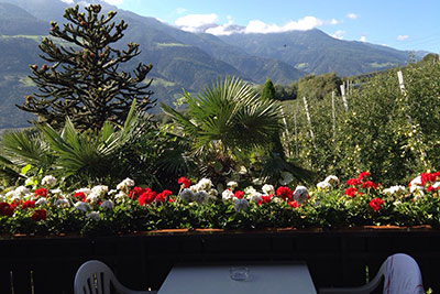 Oberbrunnhof Ferienwohnung