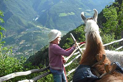 Lama-Trekking