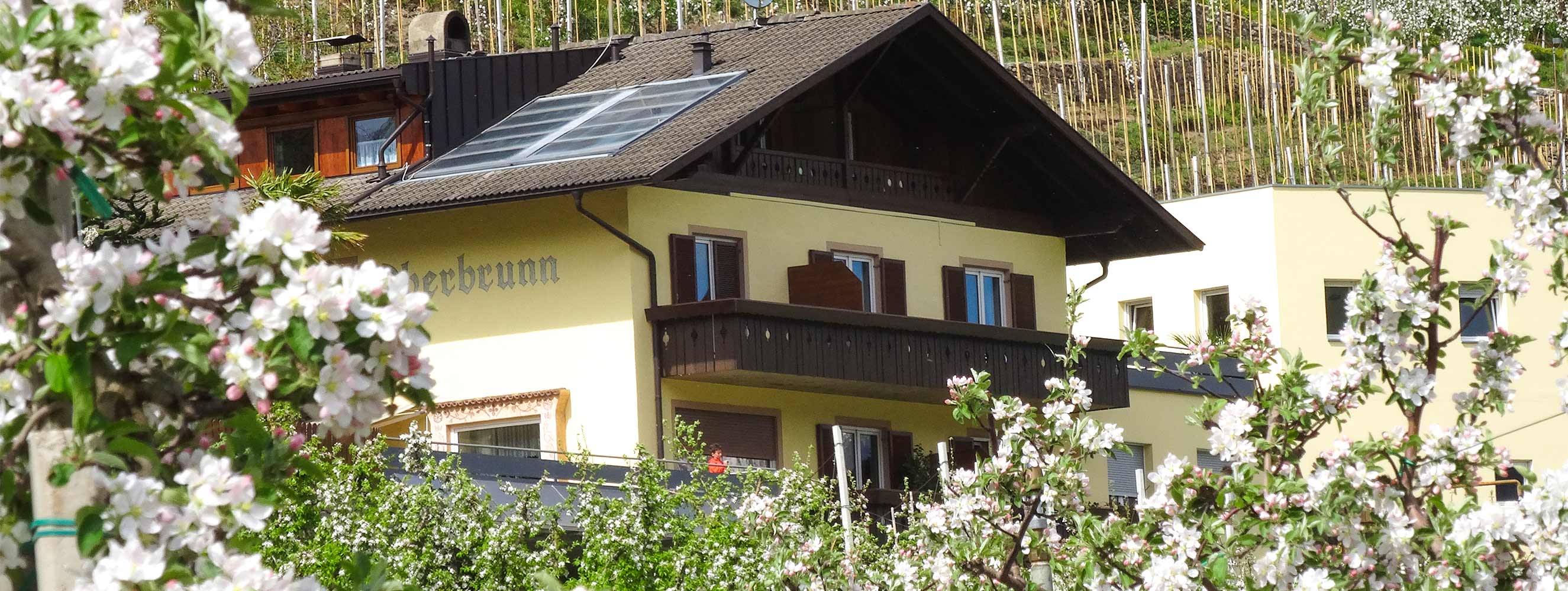 Ferienwohnung Apfelblüte - Oberbrunnhof