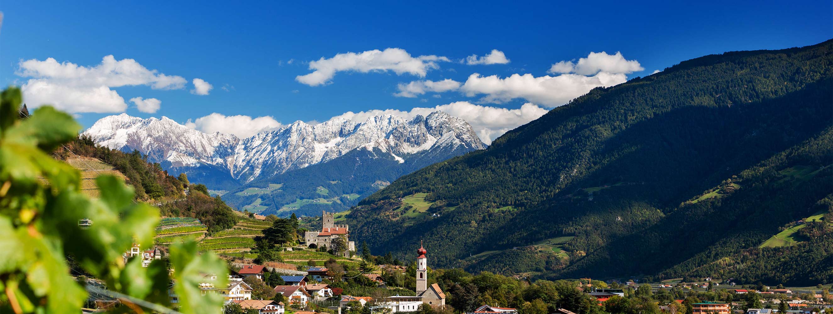 Oberbrunnhof Ferienwohnung