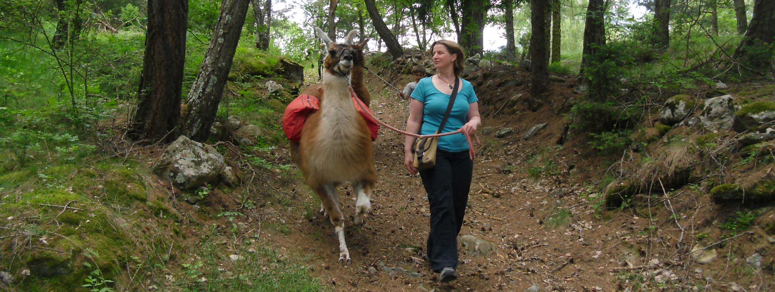 Lama-Trekking mit unserem Partnerbetrieb Baumgartenhof in Tabland