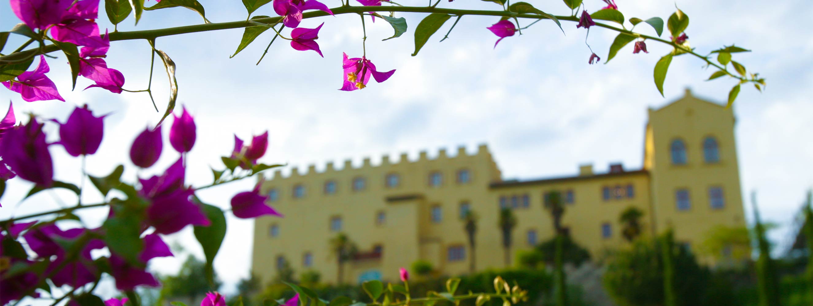 Sehenswertes und Kultur